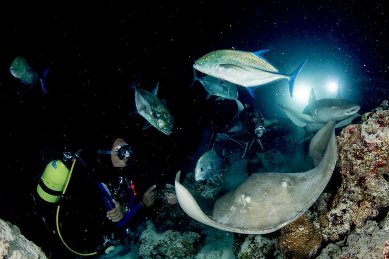 French Harbour Hotel And Dive Center Roatan Yacht Club מראה חיצוני תמונה