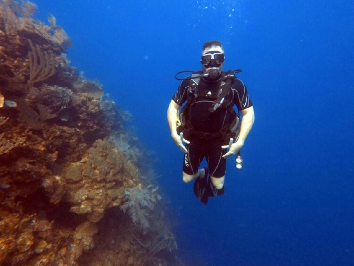 French Harbour Hotel And Dive Center Roatan Yacht Club מראה חיצוני תמונה